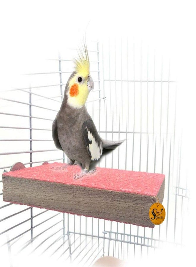 سايج سكوير حامل مجثم للطيور والببغاوات من سيج سكوير، مقاس 12 × 4.5، مع لوح شحذ مخالب، ألعاب حيوانات أليفة (لون عشوائي)، أدوات منزلية - Image 1